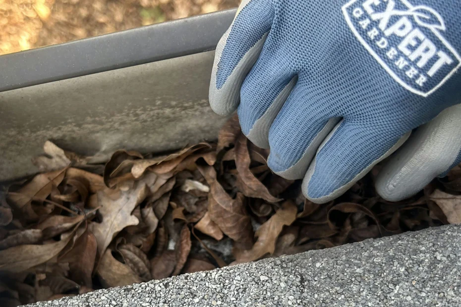 Gutter Cleaning Love Field