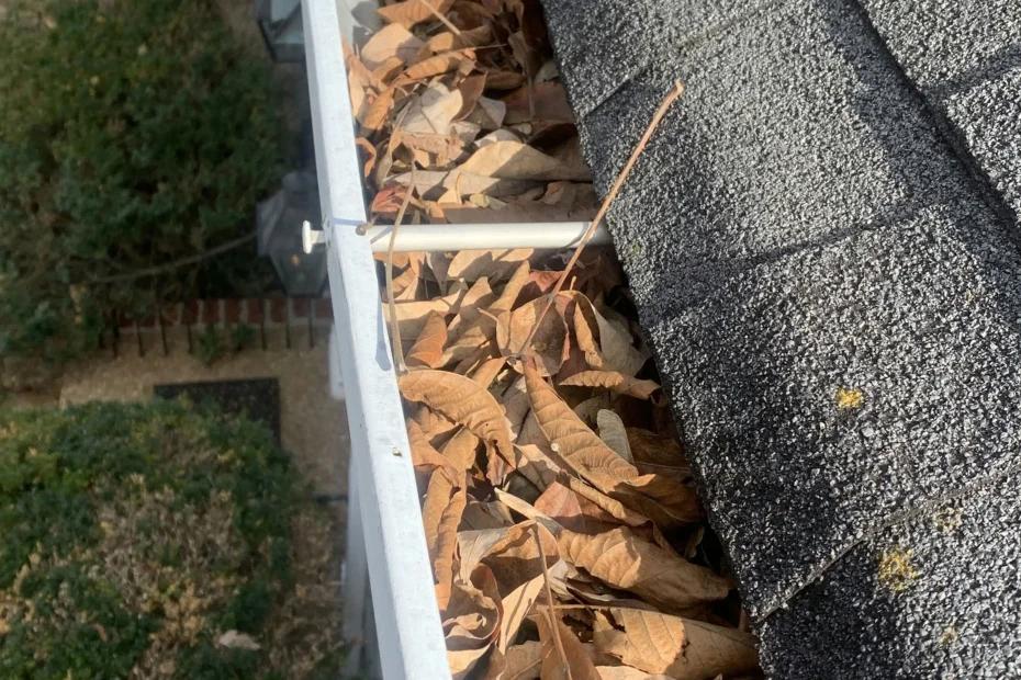 Gutter Cleaning Love Field