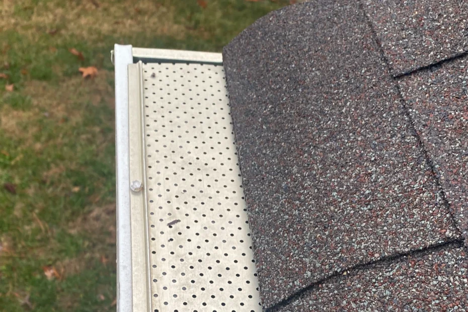 Gutter Cleaning Love Field